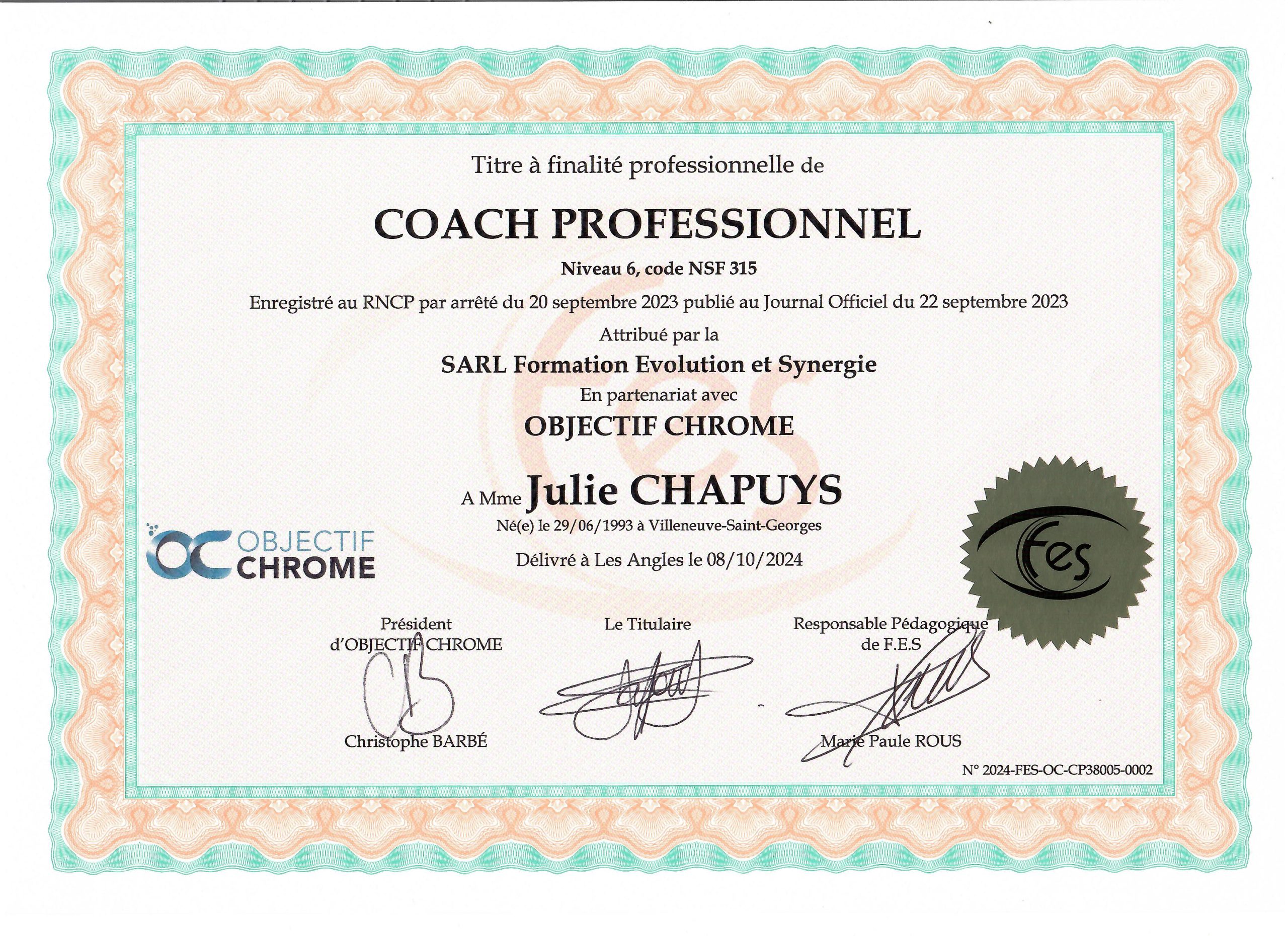 COPEA - Diplôme Coach RNCP - Julie Chapuys Laffont