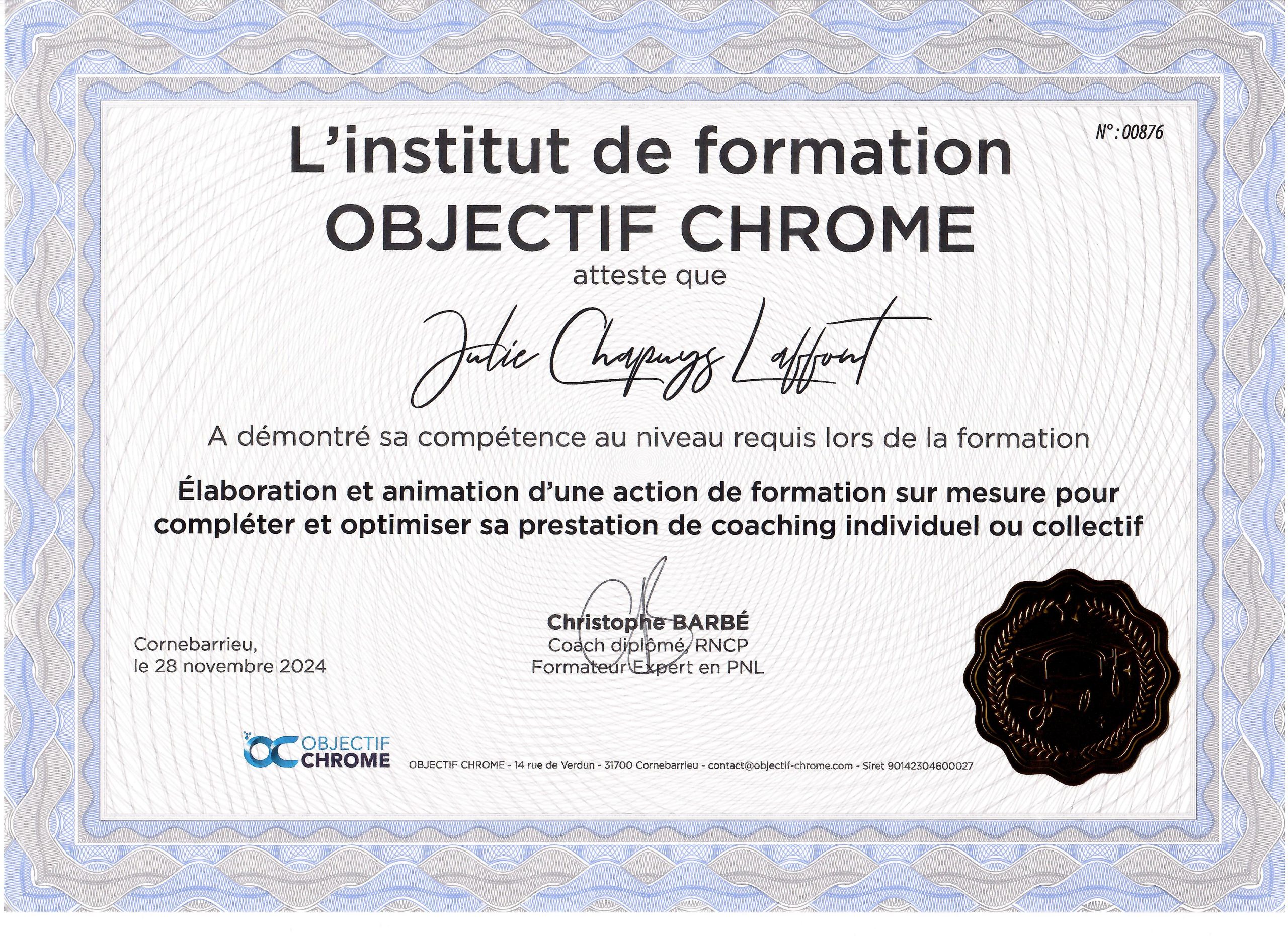 COPEA - Diplôme Coach équipe - Julie Chapuys Laffont